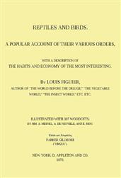 Reptiles and Birds / A Popular Account of Their Various Orders, With a Description of the Habits and Economy of the Most Interesting