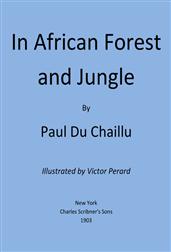 In African Forest and Jungle