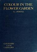 Colour in the flower garden