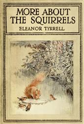 More About the Squirrels