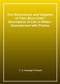 The Adventures and Vagaries of Twm Shon Catti / Descriptive of Life in Wales: Interspersed with Poems