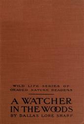 A Watcher in The Woods