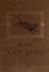 Studies in the Art of Rat-catching