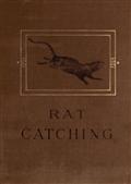Studies in the Art of Rat-catching