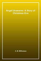 Angel Unawares: A Story of Christmas Eve