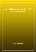 Angel Unawares: A Story of Christmas Eve