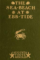 The Sea-beach at Ebb-tide / A Guide to the Study of the Seaweeds and the Lower Animal Life Found Between Tide-marks