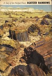 Agatized Rainbows / A Story of the Petrified Forest