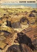 Agatized Rainbows / A Story of the Petrified Forest