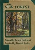 The New Forest