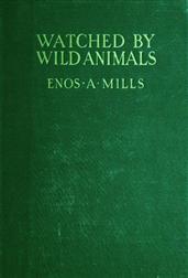 Watched by Wild Animals