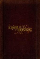 Bits of Blarney