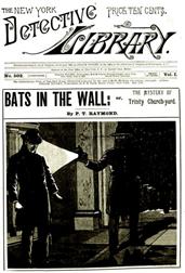 Bats in the Wallor, The Mystery of Trinity Church-yard