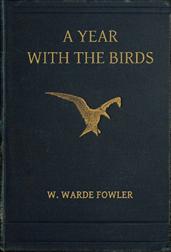 A Year with the Birds / Third Edition, Enlarged