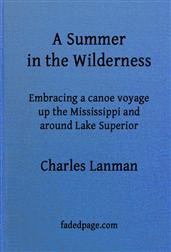 A Summer in the Wilderness / embracing a canoe voyage up the Mississippi and around Lake Superior