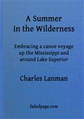 A Summer in the Wilderness / embracing a canoe voyage up the Mississippi and around Lake Superior