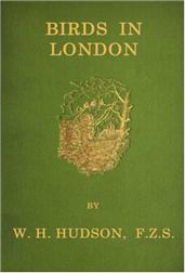 Birds in London