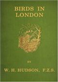 Birds in London
