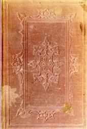 The Bunsby Papers (second series): Irish Echoes