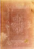 The Bunsby Papers (second series): Irish Echoes