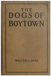 The Dogs of Boytown