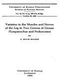 Variation in the Muscles and Nerves of the Leg in Two Genera of Grouse (Tympanuchus and Pedioecetes)