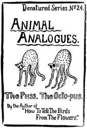 Animal Analogues: Verses and Illustrations