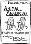 Animal Analogues: Verses and Illustrations