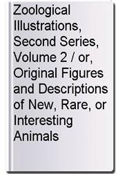 Zoological Illustrations, Second Series, Volume 2 / or, Original Figures and Descriptions of New, Rare, or Interesting Animals
