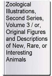 Zoological Illustrations, Second Series, Volume 3 / or, Original Figures and Descriptions of New, Rare, or Interesting Animals