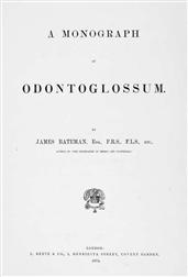 A Monograph of Odontoglossum