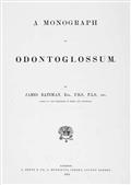 A Monograph of Odontoglossum