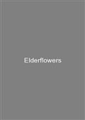 Elderflowers