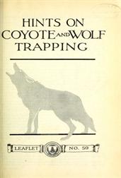 Hints on Wolf and Coyote Trapping