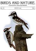 Birds and Nature Vol. 11 No. 3 [March 1902] / Illustrated by Color Photography
