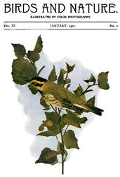 Birds and Nature Vol. 9 No. 1 [January 1901]