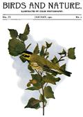 Birds and Nature Vol. 9 No. 1 [January 1901]