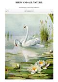 Birds and All Nature, Vol. VI, No. 2, September 1899 / Illustrated by Color Photography