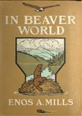 In Beaver World