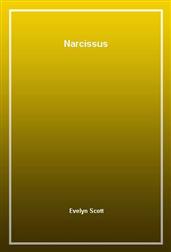 Narcissus