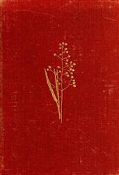 Field and Woodland Plants