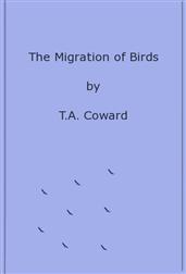 The Migration of Birds