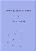 The Migration of Birds