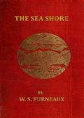 The Sea Shore