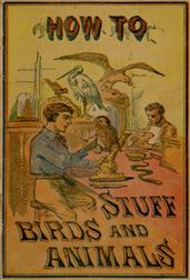 How to Stuff Birds and AnimalsA valuable book giving instruction in collecting, preparing,mounting, and preserving birds, animals, and insects