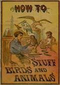 How to Stuff Birds and AnimalsA valuable book giving instruction in collecting, preparing,mounting, and preserving birds, animals, and insects