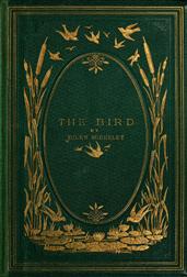 The Bird