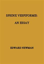 Sphinx VespiformisAn Essay