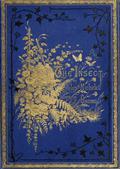 The Insect