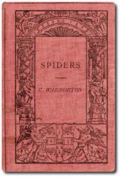 Spiders